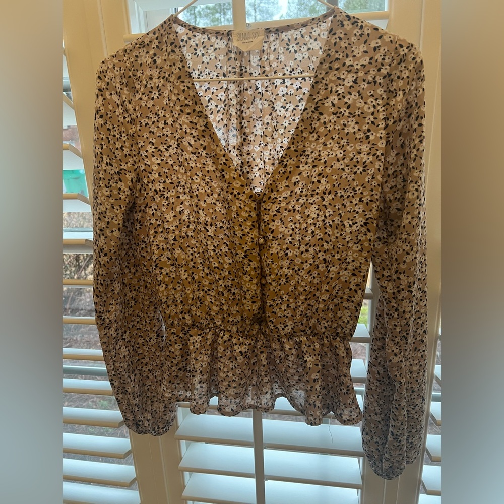 Sienna Sky Muted Sheer Long Sleeve Blouse wth Four Covered Buttons in Front
